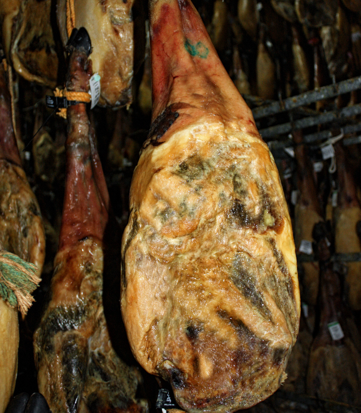 Epaules de Bellota pur Pata negra